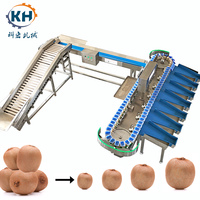 Universele automatische sorteermachine voor het verwerken van uien, knoflook, bosbessen & zeevruchten, gespecialiseerd in aardappelen