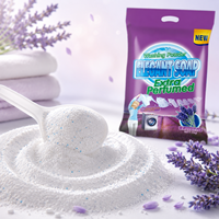 Détergent parfumé concentré à haute mousse OEM 1kg 2kg Booster de bulles de savon en poudre fabriqué en Chine pour le lavage des vêtements