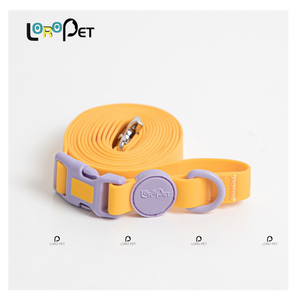 Benutzer definiertes Logo Macaron Color Wasserdichtes Silikon-Schnellverschluss-<span class=keywords><strong>PVC</strong></span>-Armband Verstellbares Hundehalsband-Leinen-Set Solid für Katzen besitzer - Product Image 2