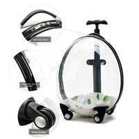 Sac de transport pour animaux de compagnie grande capacité, sac à dos polyvalent semi-circulaire, sacoche pour PC, pour chats