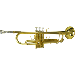 Compte secondaire HUAYUN édition professionnelle haute stabilité, contrôle fluide des touches, pour compétition musicale professionnelle - Product Image 1