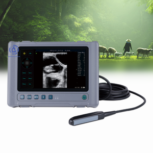 Equipo <span class=keywords><strong>de</strong></span> Ultrasonido Veterinario Portátil <span class=keywords><strong>de</strong></span> 8 Pulgadas para Animales <span class=keywords><strong>de</strong></span> Granja, <span class=keywords><strong>Precio</strong></span> <span class=keywords><strong>de</strong></span> Fábrica, Ultrasonido para Ganado, Ovejas y Perros - Product Image 1