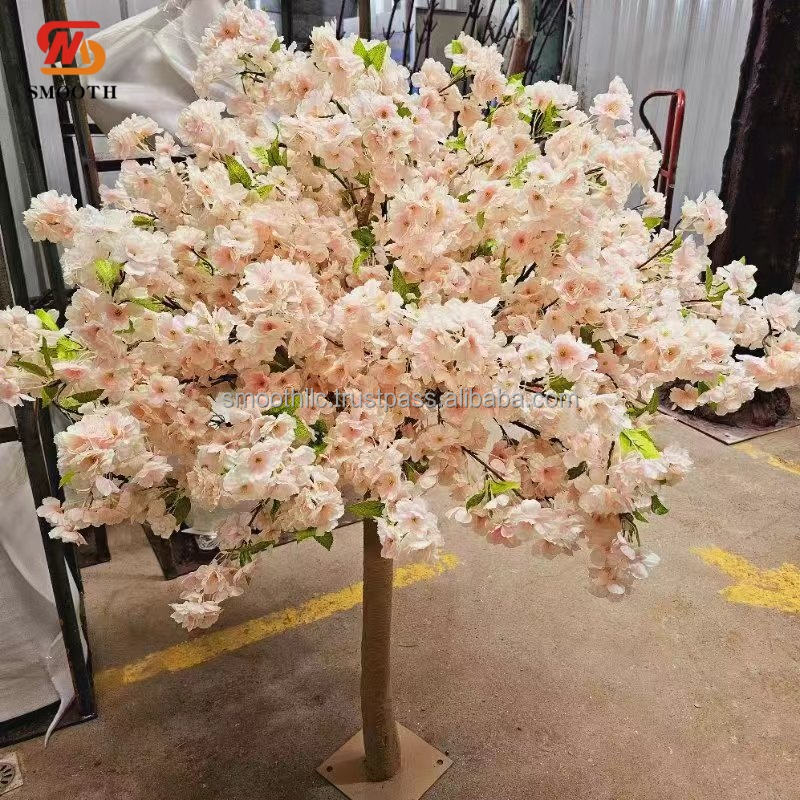 ต้นเชอร์รี่