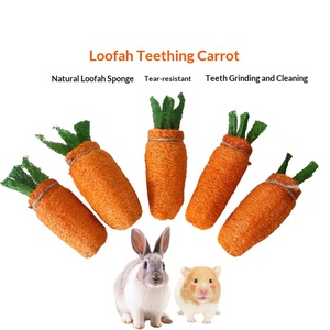 Jouets naturels en loofah pour lapins et cochons d'Inde : jouet carotte, accessoires de mastication pour le nettoyage des dents molaires - Product Image 1