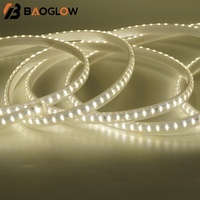 Bande lumineuse LED extérieure étanche IP67, AC220V 10W, rouleau de 100 m, 3000K 4000K 6500K, lumière blanche naturelle chaude, SMD 2835, 120 LED