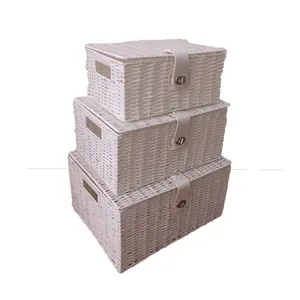 Hot Sale Woven Rope Plastic Rattan Baskets With Lid Locks For Sundrier Laundry Toys Box