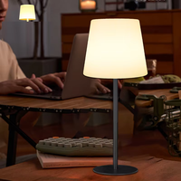 Lampe de table LED RGB moderne en fer, 16 couleurs, rechargeable, à intensité variable, avec télécommande, veilleuse pour bar, club, fête, événement (vente en gros)