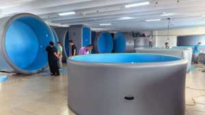 <span class=keywords><strong>Piscina</strong></span> Elevada de PVC Resistente <span class=keywords><strong>con</strong></span> Tecnología Drop Stitch, Incluye Todo Tipo de Accesorios para <span class=keywords><strong>Piscina</strong></span>, <span class=keywords><strong>Piscina</strong></span> Inflable Familiar - Product Image 3