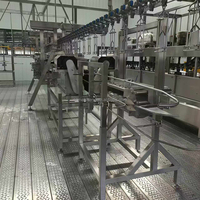 Ligne d'abattage de volailles MSMT 500, équipement d'abattoir avicole, machine d'abattage automatique de poulets pour abattoir moderne