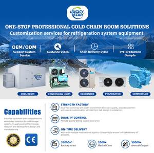 Unidad de Condensación de Aire Acondicionado Evaporativo para Congelador de Intercambio de Calor, Enfriada por Aire, Tipo Caja de Bloque de Hielo - Product Image 4