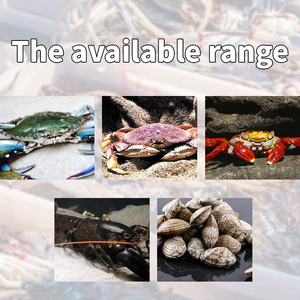 Thước đo tôm hùm & Cua phát sáng trong bóng tối 7 inch - Product Image 6