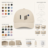 Gorra Dad Cap de Algodón Sarga con Corona Suave y Bordado Plano, MOQ Bajo, Empaque Minorista para Compradores de Librerías de Arte de Nicho con Logotipo Personalizado