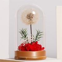 TC venta al por mayor diente de león natural flores preservadas cúpula de cristal decoración del hogar para regalo del Día de San Valentín para novia esposa mamá