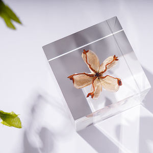 60*60mm Cube Spécimen Clair Acrylique Incorporation Décoration de La Maison <span class=keywords><strong>Creative</strong></span> Nature Presse-papiers Artefact Bloc - Product Image 2