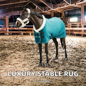 غطاء خيول عالي الجودة مثالي التركيب خفيف الوزن من البوليستر والقطن غير مقاوم للماء لحماية الخيول في الإسطبل مع بطانة من الصوف - Product Image 5