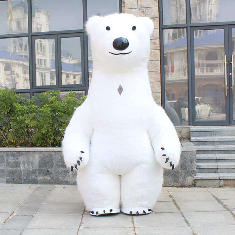 Orso polare