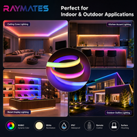 Bande lumineuse intelligente COB à changement de couleur RGBCW IC IP67 étanche, bande LED à pixels adressables pour l'éclairage paysager, CE UL ROHS