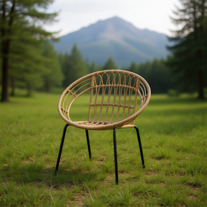 Sedia da Giardino Homeera con Design Intrecciato, Telaio in Ferro Rotondo, Stile Contemporaneo Moderno - Product Image 2