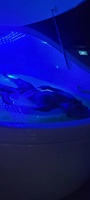 Cabine flottante multifonctionnelle en acrylique pour spa, hôtel, salle de sport, avec massage par l'eau salée, relaxation corporelle, détox, lumière LED et musique