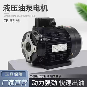 ปั๊มไฮดรอลิกแบบเฟือง CB-B4 B6 B10 B16 0.37KW ปั๊มน้ำมันแบบปริมาณคงที่ 1 จังหวะ สำหรับมอเตอร์เครื่องเลื่อย - Product Image 5