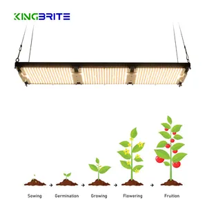 لوحة Kingbrite 320W KingBrite samsung lm301H led, 3500K led لنمو النباتات في الأماكن المغلقة