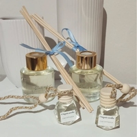 CH Offre Spéciale OEM Nouveau diffuseur de roseaux en céramique moderne et écologique de luxe Arôme de parfum de maison en céramique écologique