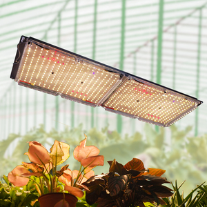 Order Online 240W LED Grow Light Full Spectrum & Dimmable