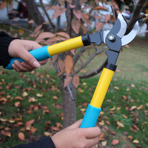 Cisaille à Branches Épaisses à Prix Abordable, Tête de Coupe en Acier Inoxydable, <span class=keywords><strong>Ciseaux</strong></span> de Jardin Robustes et Tranchants, Accessoires de Jardinage Manuels - Product Image 5