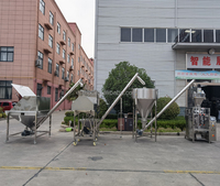 Machine d'emballage de remplissage de poudre de systèmes Vffs entièrement automatique pour la ligne de remplissage de mélange de poudre de lavage de détergent de farine de maïs de ciment