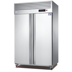 Vente flash - Réfrigérateur commercial certifié CE, Heladera Congelador pour supermarchés, restaurants, bars et magasins d'alimentation BD1000L2F - Product Image 1