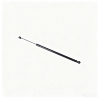 Support de hayon à fixation directe 51247211289 Compatible avec l'original BMW F25 Sans modification