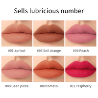 Rouge à Lèvres Mat Nude Aérien Fini Ultra Mat Doux et Velouté
