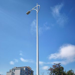 Üreticilerin Çift Kollu Alüminyum Sokak Aydınlatma Direği Yol Dış Mekan Lamba Direkleri 10FT 15FT 20FT 25FT 30FT 35FT 40FT - Product Image 2