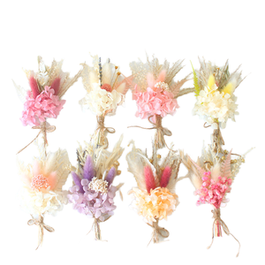 Flores Secas Naturales Ecológicas al por Mayor, Flores de Pampas Preservadas, Mini Ramo de Flores para Decoración del Hogar y Bodas - Product Image 1