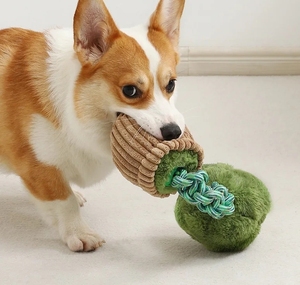 Bán Buôn Vật Nuôi Mềm Sang Trọng Con Chó <span class=keywords><strong>Chew</strong></span> Đồ Chơi-Cắn-Kháng Âm Cào Răng Làm Sạch Con Chó Con Đào Tạo Đồ Chơi - Product Image 2