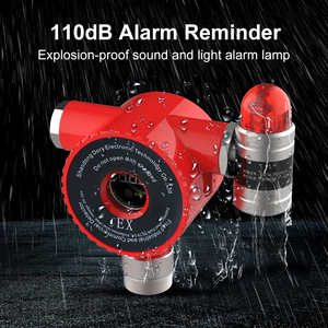 Detektor <span class=keywords><strong>Gas</strong></span> Mudah Terbakar Tetap RTTPP DR710, <span class=keywords><strong>Monitor</strong></span> Alarm <span class=keywords><strong>Gas</strong></span> LPG / LEL / EX / Alami / CH4 / Metana Industri yang Sensitif - Product Image 6