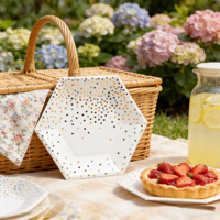 Assiettes hexagonales en papier jetables personnalisées écologiques à pois simples pour les fêtes d'enfants