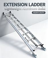 Échelle extensible industrielle robuste en aluminium de 30 pieds avec système antichute pour la construction en hauteur et les travaux de toiture