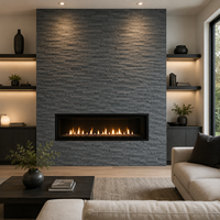 Revêtement mural extérieur en ardoise noire mince, surface fendue, design minimaliste, durable
