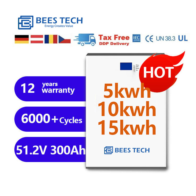Factory 15kw 51.2V Lifepo4 Batteries 51.2V 48V 300ah Lithium Iron Battery 48V LFP Powerwall Home Solar Energy Storage System