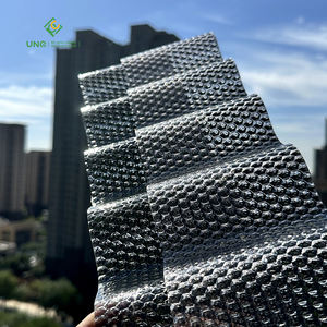 Tôles ondulées en <span class=keywords><strong>polycarbonate</strong></span> haute résistance pour ruches, fabriquées en Chine - Product Image 4