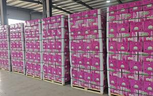 Ajo chino, verduras frescas, ajo fresco, precio al por mayor, fábrica de China - Product Image 3