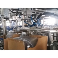 Chine fournisseurs 20L cubitainer machine de remplissage automatisée