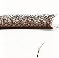 Extensions de cils YY effet renard brun 5D, courbure C et D mixtes, cils effilés multicouches, effet renard volumineux, pour cils gauche et droit, Fournitures pour cils
