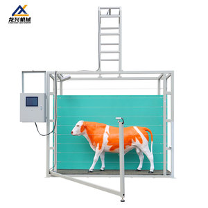 Sistema Intelligente di Misurazione Corporea per Bovini, Rilevatore Professionale delle Dimensioni dei Bovini per Allevamenti su Larga Scala - Product Image 2