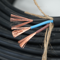 Cable de Cobre Flexible con Aislamiento de PVC 0-25AWG RVV 300/500V 450/750V para Uso en Construcción e Industrial IP54 CE RoHS