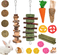 20 jouets à mâcher lapin naturel lapin pomme bois herbe Timothy sticks friandise jouet pour cochons d'inde Hamster Chinchillas