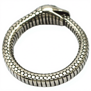 Anello da Dito Stile Gotico Punk in Acciaio Inossidabile Placcato Argento e Oro con Design a Serpente Rotondo e Vaporoso - Product Image 1