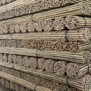 Canne di bambù gialle naturali ecologiche pali di bambù grezzi e paletti per piante Stand materie prime di bambù prodotto - Product Image 5