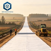 Toile paysagère non tissée blanche en PET Spunbond pour la construction routière au Chili